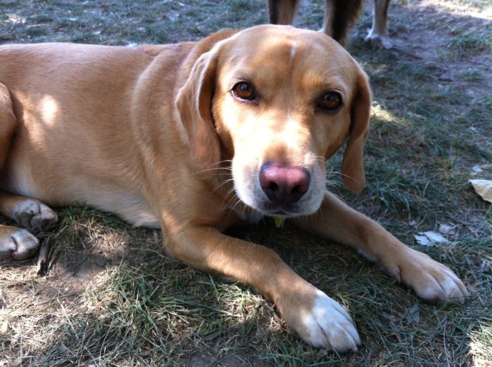 Leni posing for the picture.